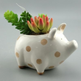 mini maceta de cerámica animal cerdo plantador