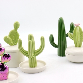 colección de platos de cactus de cerámica
