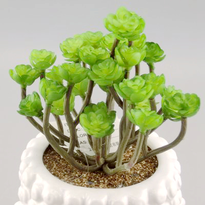 ceramic mini planter manufacturer