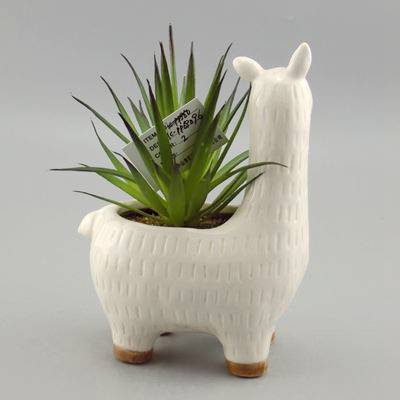 ceramic llama planter factory