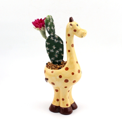 cute ceramic giraffe
