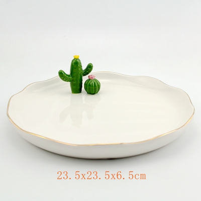 Dinner Plate Cactus 