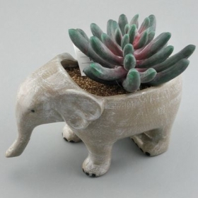 maceta animal de cerámica del plantador suculento del elefante