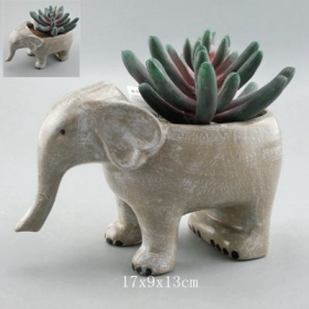 maceta animal de cerámica del plantador suculento del elefante
