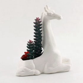 maceta de jirafa de cerámica blanca con plantas