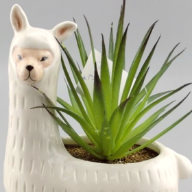linda maceta de alpaca llama con plantas llenas