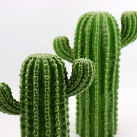 comprar cactus decoración