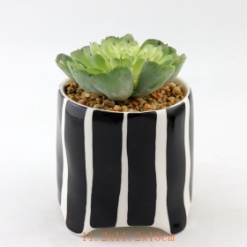 puntos negros mini cerámica suculentas macetas de plantas raya negra mini macetas de terracota